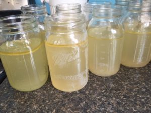 I pour the finished broth in mason jars and let cool on the counter.